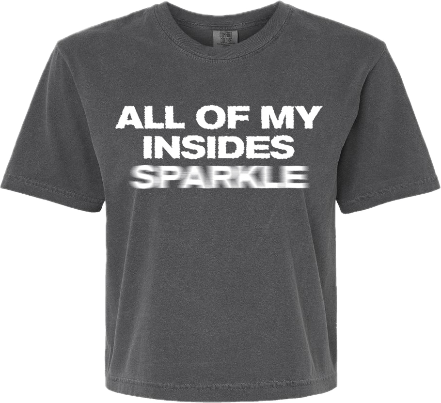 Sparkle Crop Top